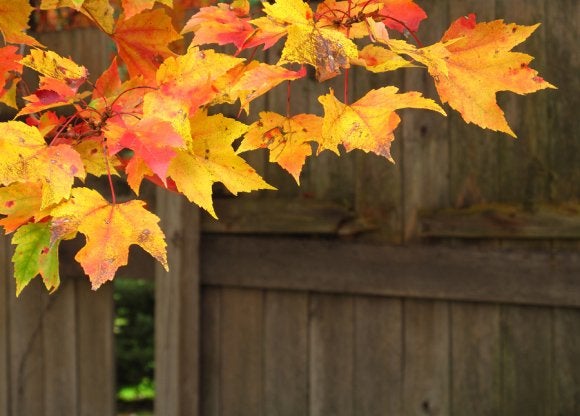 Wood Fences in Bergen County 